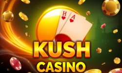 Kush Casino онлайн: как и зачем играть в модном виртуальном казино